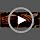Beetles Cat Eye Press On Nails Short Almond Pumpkin Spice Halloween 3A Burnt Caramel S