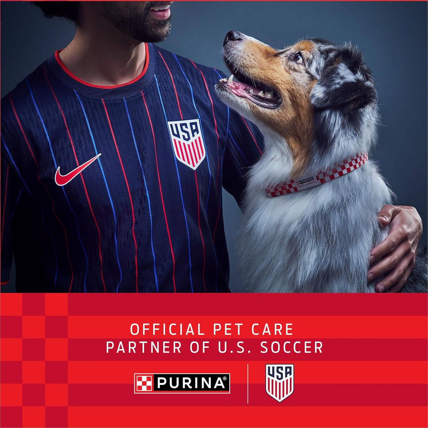 Purina ONE Dry Dog Food - Lamb & Rice Formula | 31.1 lb. Bag