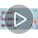 9-Piece Colorful Watercolor Bird Vinyl Wall Decals Set