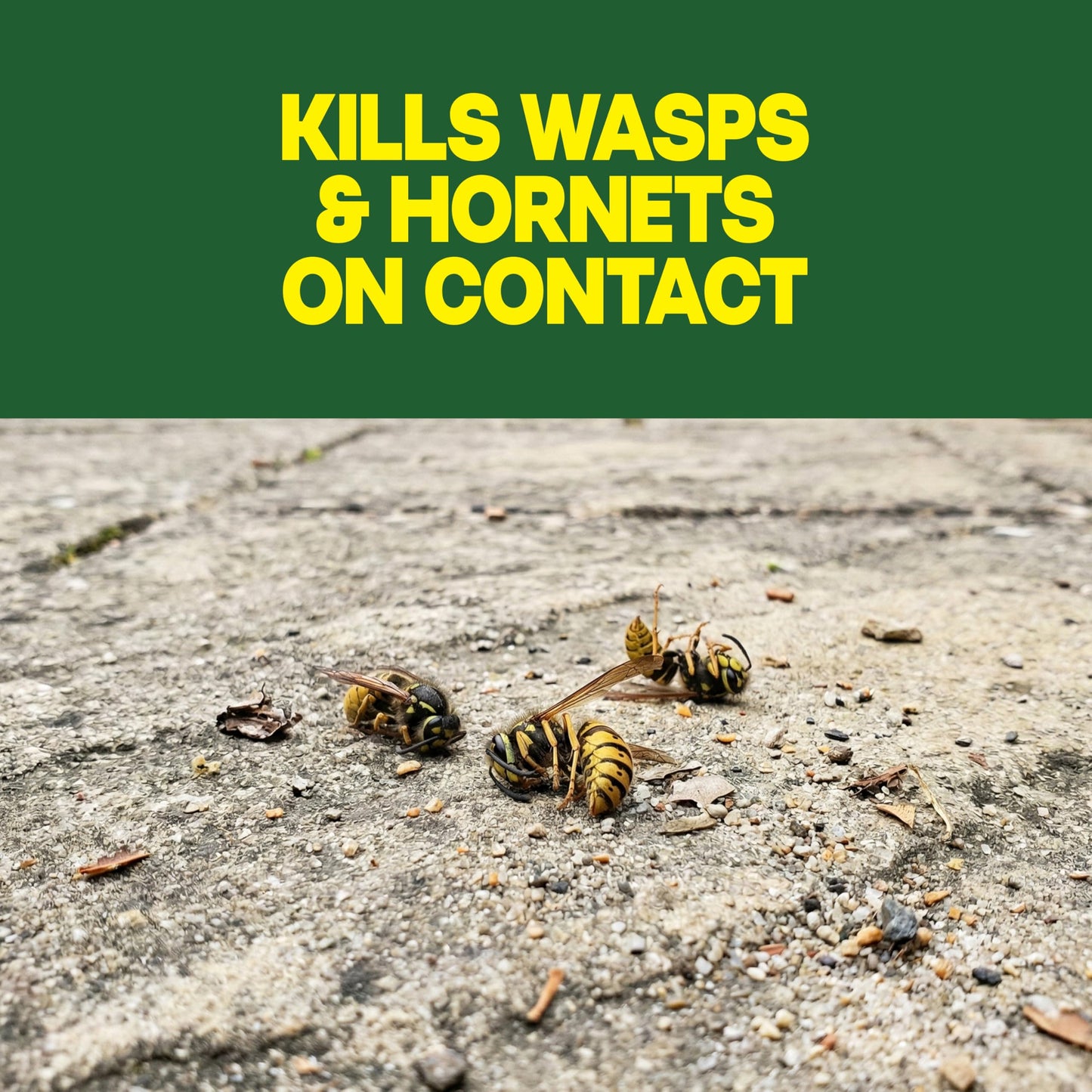 Raid Wasp & Hornet Killer Spray, Kills the Entire Nest, For Paper Wasps, Yellow Jackets, Mud Daubers and more, 14 oz (Pack of 2)
