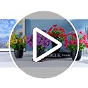 Der Rose 4 Pack Faux Flowers with Aroma Discs for Relaxation