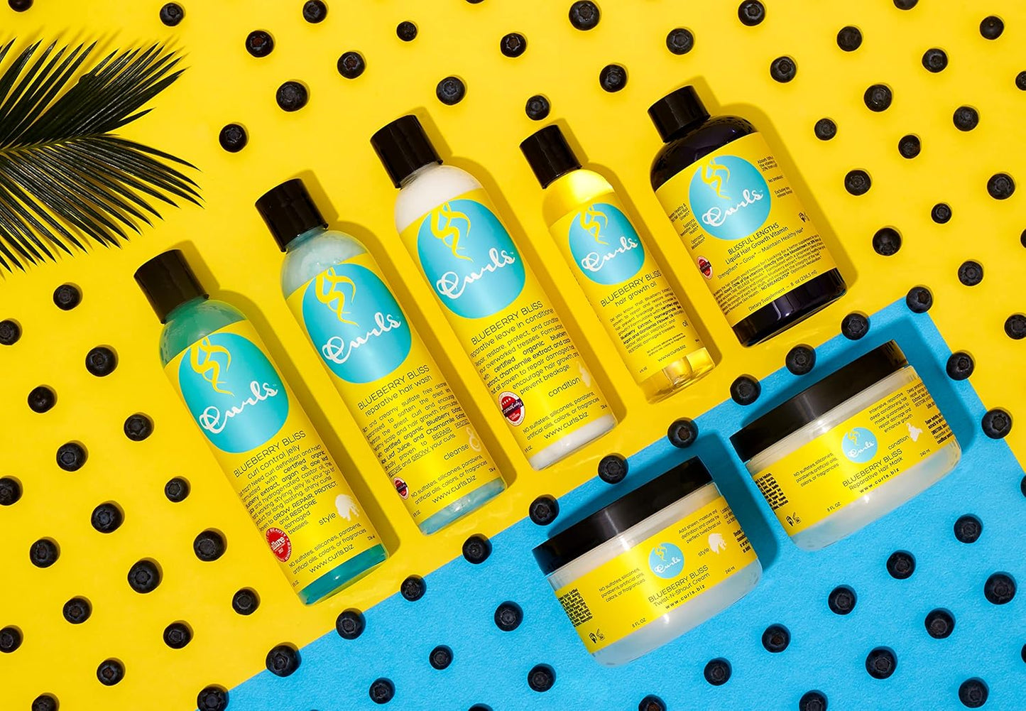 Aloe & Blueberry Curl Moisturizer - Revive Curly Hair with Organic Extracts | 8oz Curl Refresher Spray