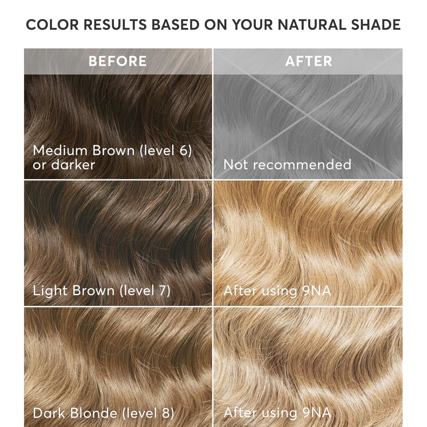 Radiant Hair Color Kit - 9NA Medium Cool Blonde | PPD-Free, Ammonia-Free Permanent Dye for Gray Blending