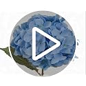 6PCS Premium Blue Silk Hydrangea Artificial Flower Bouquets