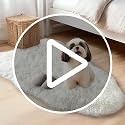 2x3 Cream White Fluffy Rug - Soft, Non-Slip Shag for Bedroom