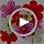 9 Pack Pink & Orange Paper Fans for Party Decor - Wedding, Birthday, Baby Shower