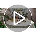 84 Inch Purple and Gold Polka Dot Round Tablecloth - Set of 3